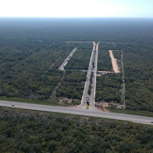 Parque Industrial en Merida - Endémico - Avances