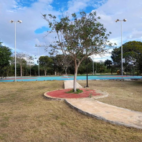 Áreas verdes de Privada