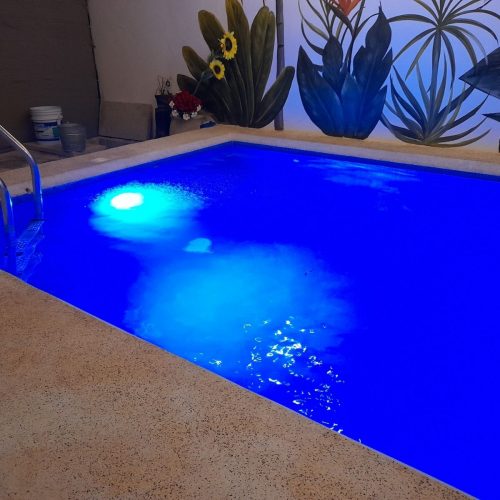 casa-renta-los-heroes-piscina-2